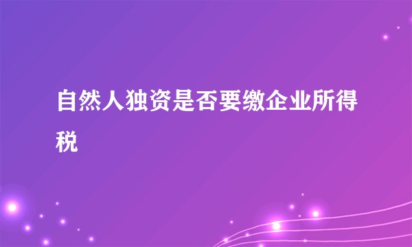 自然人独资是否要缴企业所得税