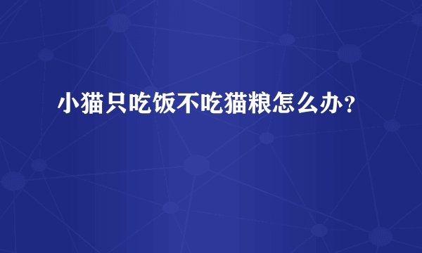 小猫只吃饭不吃猫粮怎么办?
