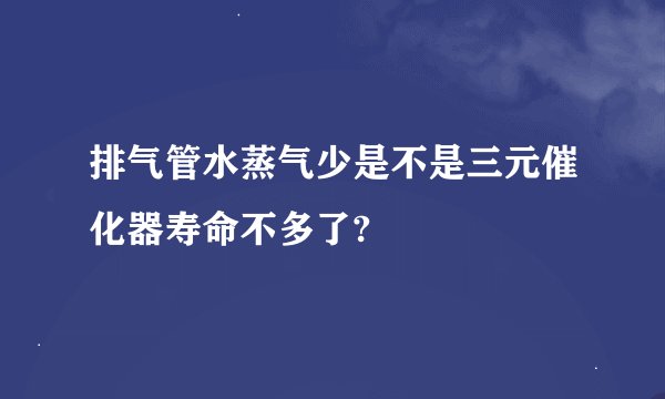 排气管水蒸气少是不是三元催化器寿命不多了?