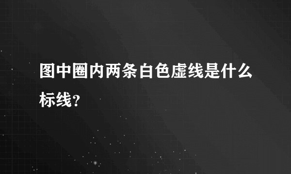 图中圈内两条白色虚线是什么标线？
