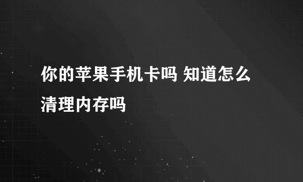 你的苹果手机卡吗 知道怎么清理内存吗