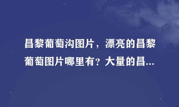昌黎葡萄沟图片，漂亮的昌黎葡萄图片哪里有？大量的昌黎葡萄沟景美图片哪里有啊？