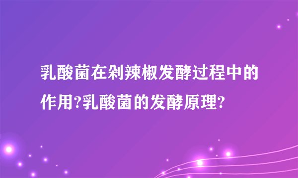 乳酸菌在剁辣椒发酵过程中的作用?乳酸菌的发酵原理?