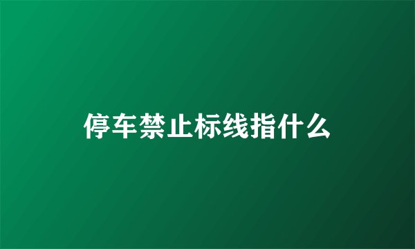 停车禁止标线指什么