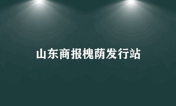 山东商报槐荫发行站