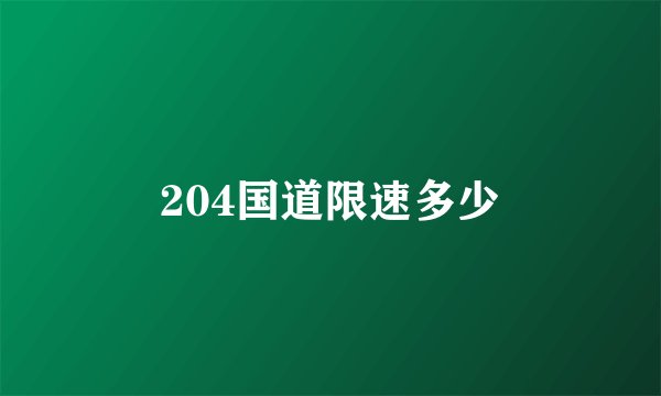 204国道限速多少