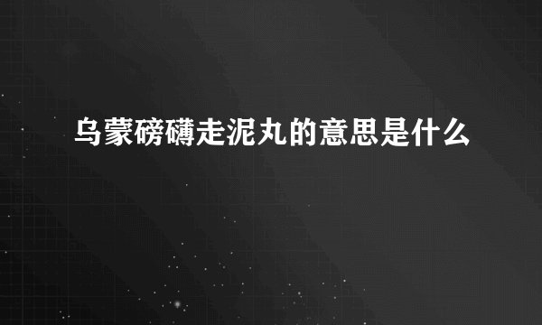 乌蒙磅礴走泥丸的意思是什么