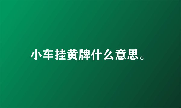 小车挂黄牌什么意思。