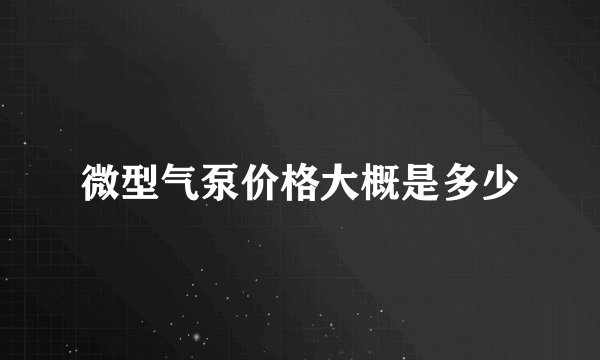 微型气泵价格大概是多少