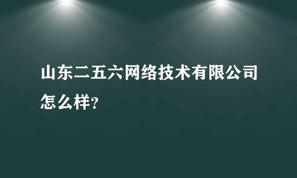 山东二五六网络技术有限公司怎么样？