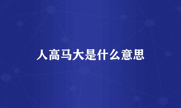 人高马大是什么意思