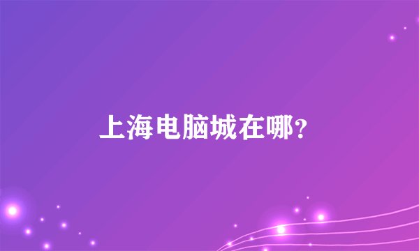 上海电脑城在哪？