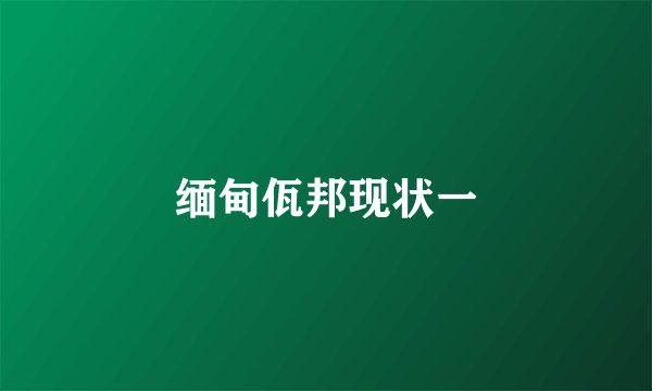 缅甸佤邦现状一