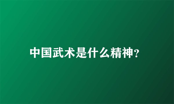 中国武术是什么精神？