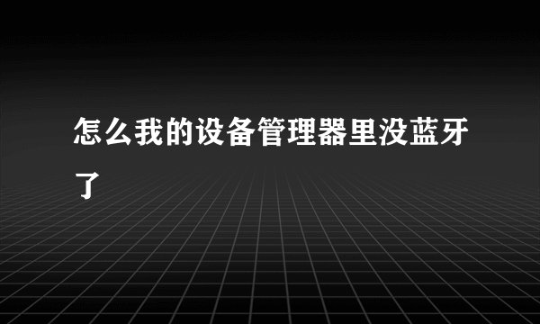 怎么我的设备管理器里没蓝牙了