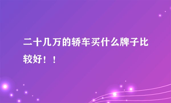 二十几万的轿车买什么牌子比较好！！