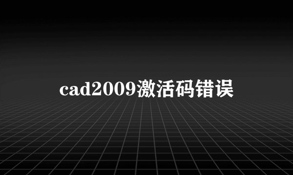 cad2009激活码错误
