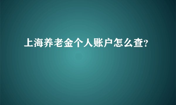 上海养老金个人账户怎么查？