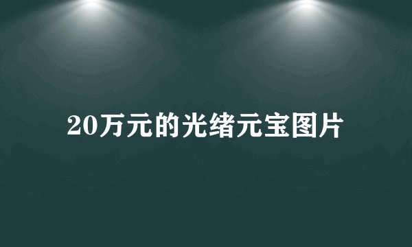 20万元的光绪元宝图片