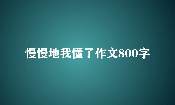 慢慢地我懂了作文800字