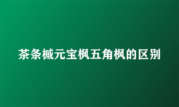 茶条槭元宝枫五角枫的区别