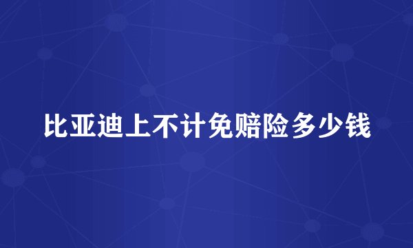 比亚迪上不计免赔险多少钱