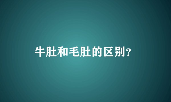 牛肚和毛肚的区别？