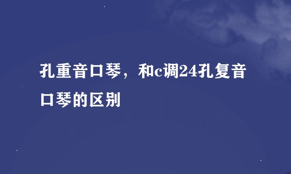 孔重音口琴，和c调24孔复音口琴的区别