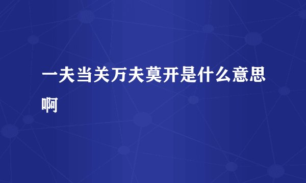 一夫当关万夫莫开是什么意思啊