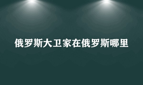 俄罗斯大卫家在俄罗斯哪里