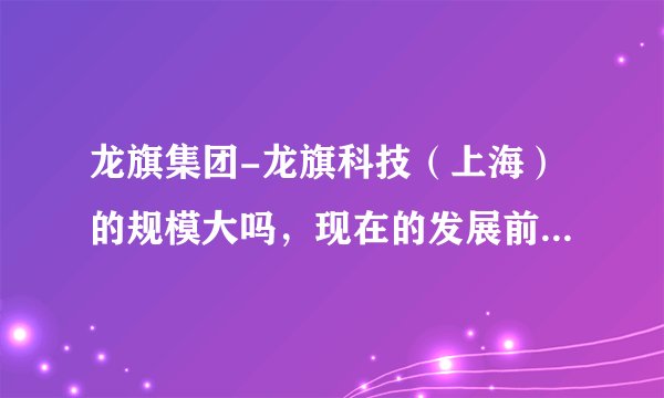 龙旗集团-龙旗科技（上海）的规模大吗，现在的发展前景怎么样，想知道里面的待遇。管理等情况？