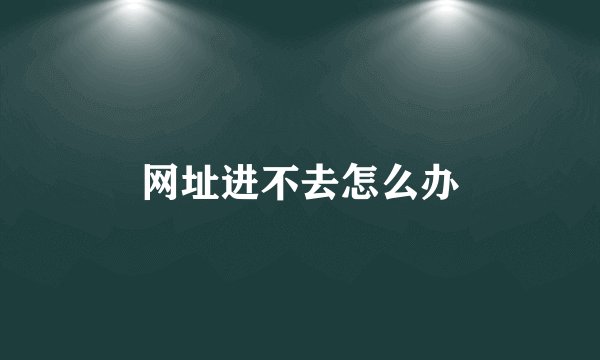 网址进不去怎么办