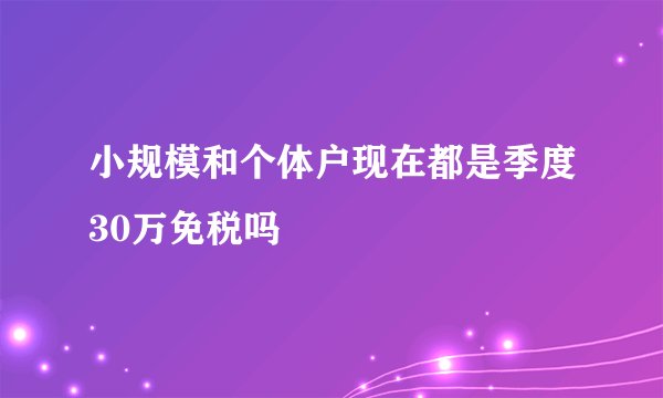 小规模和个体户现在都是季度30万免税吗