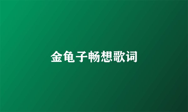 金龟子畅想歌词