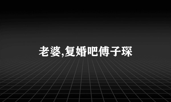 老婆,复婚吧傅子琛