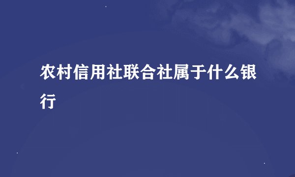 农村信用社联合社属于什么银行