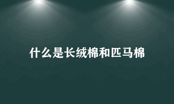 什么是长绒棉和匹马棉