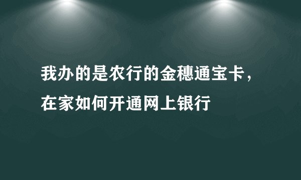 我办的是农行的金穗通宝卡，在家如何开通网上银行