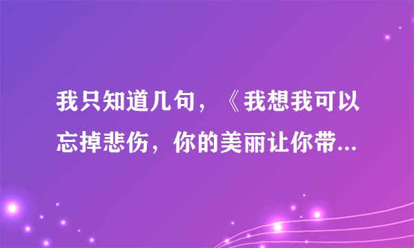 我只知道几句，《我想我可以忘掉悲伤，你的美丽让你带走》跪求歌名