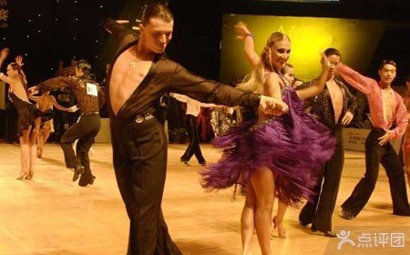 仙舞魅凰的内容简介