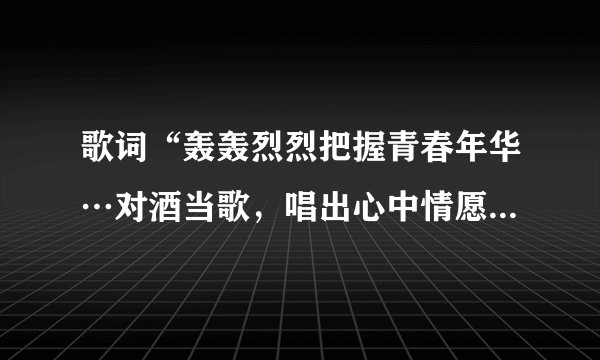 歌词“轰轰烈烈把握青春年华…对酒当歌，唱出心中情愿”什么歌，忘了 ，还珠里打