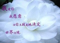 女生说，你开心我就开心。是什么意思？