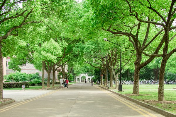 如何查看自己学校的网站啊？