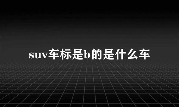 suv车标是b的是什么车