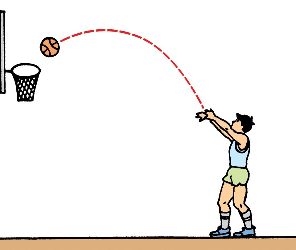 抛物线的标准方程是什么样的？