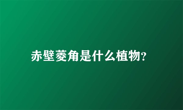 赤壁菱角是什么植物？