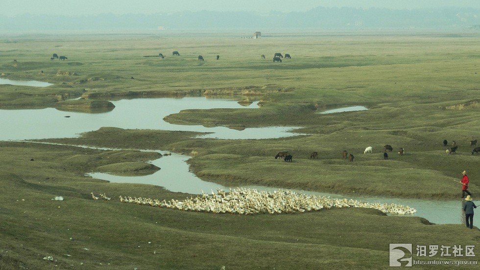 汨罗江社区的社区简介