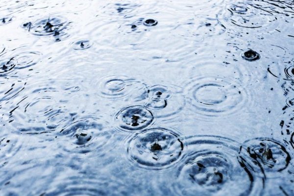 落打飘造句二年级上册