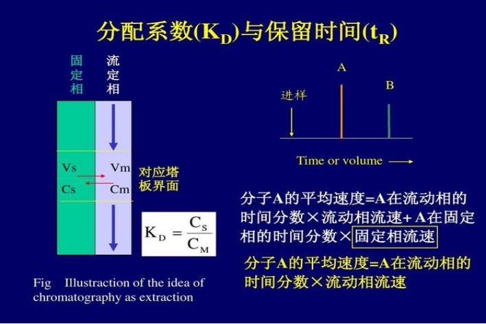 什么是分配系数？