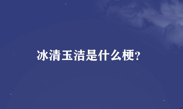 冰清玉洁是什么梗？